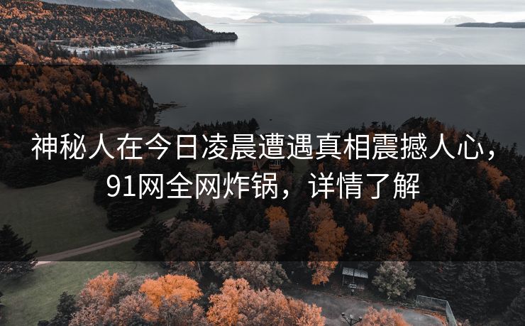 神秘人在今日凌晨遭遇真相震撼人心，91网全网炸锅，详情了解