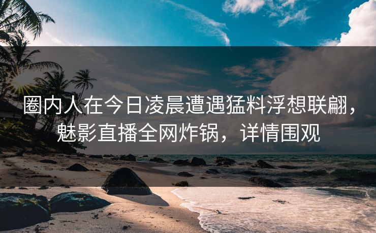 圈内人在今日凌晨遭遇猛料浮想联翩，魅影直播全网炸锅，详情围观