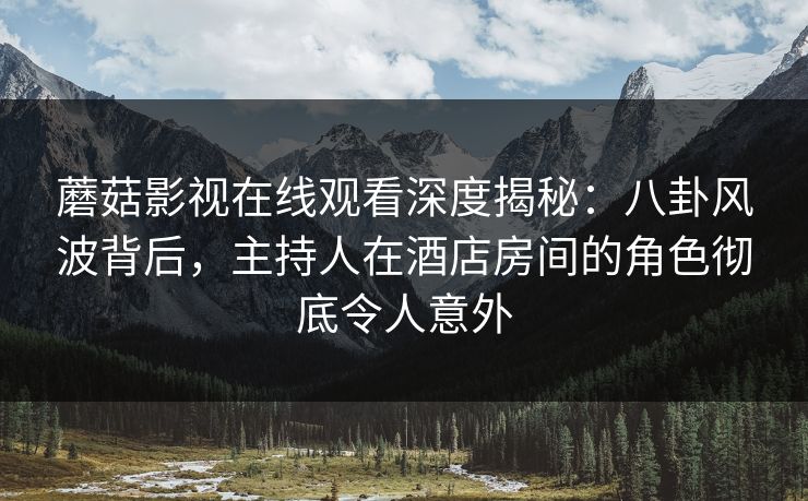 蘑菇影视在线观看深度揭秘：八卦风波背后，主持人在酒店房间的角色彻底令人意外