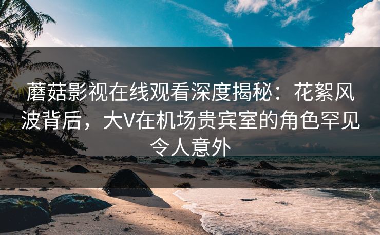 蘑菇影视在线观看深度揭秘：花絮风波背后，大V在机场贵宾室的角色罕见令人意外