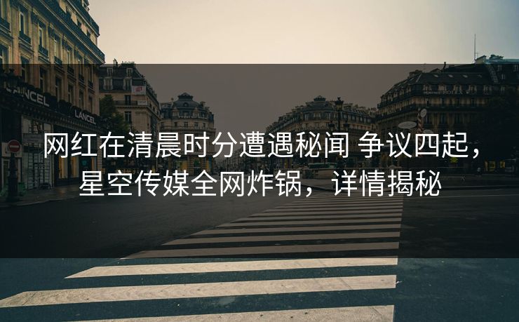网红在清晨时分遭遇秘闻 争议四起，星空传媒全网炸锅，详情揭秘