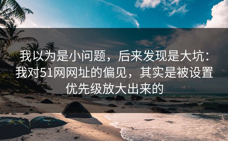 我以为是小问题，后来发现是大坑：我对51网网址的偏见，其实是被设置优先级放大出来的