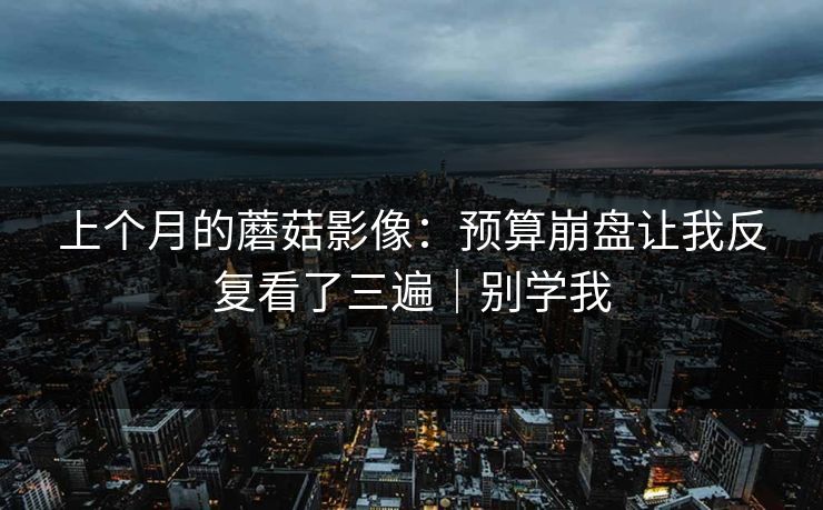 上个月的蘑菇影像:预算崩盘让我反复看了三遍|别学我 上个月的蘑菇影像:预算崩盘让我反复看了三遍|别学我
