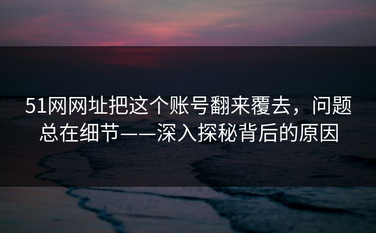 51网网址把这个账号翻来覆去，问题总在细节——深入探秘背后的原因